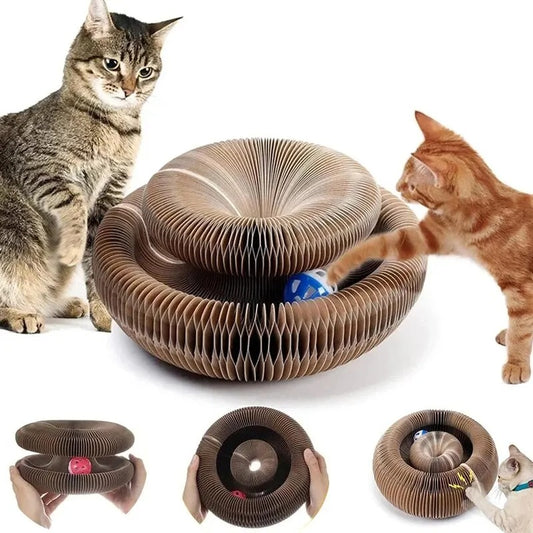 2-in-1 Cat Interactive Toy & Scratcher